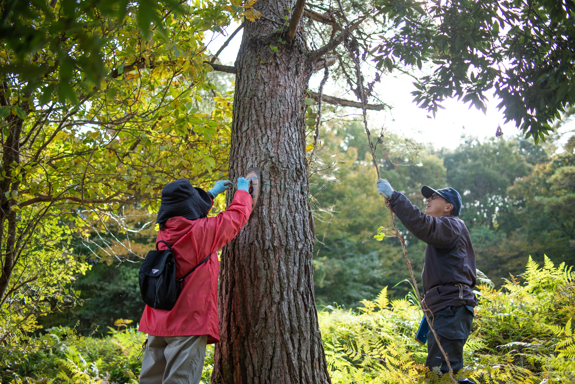 木の勉強をしました。